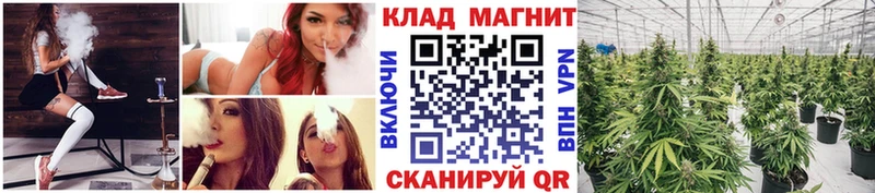 Наркошоп Лобня Псилоцибиновые грибы  A PVP  Кокаин  МЕФ  МАРИХУАНА  blacksprut ссылка  Гашиш  Метамфетамин 