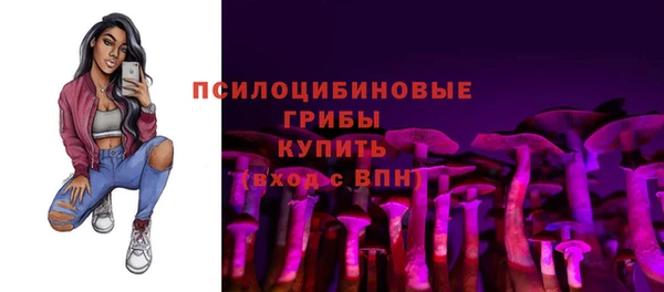 apvp Верея
