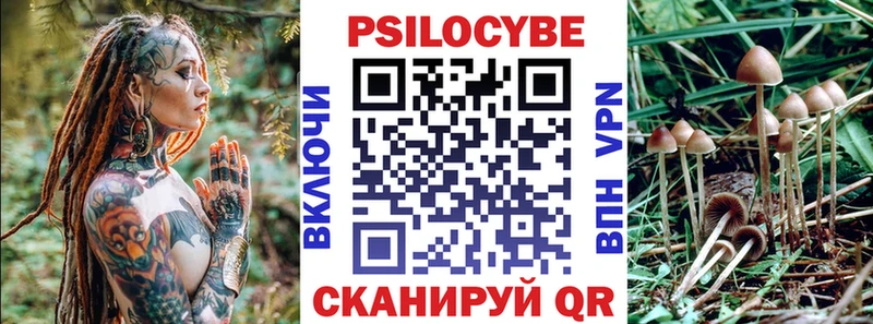 где можно купить Лобня Псилоцибиновые грибы Psilocybe
